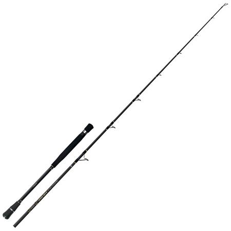Canne Spinning Colmic Strike Spinning