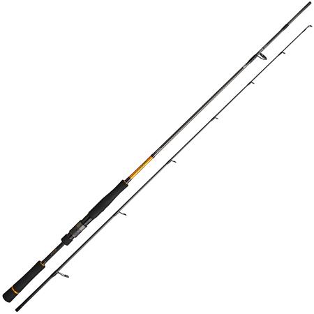 Canne Spinning Daiwa 27 Bg Seabass