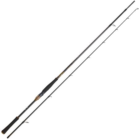 Canne Spinning Daiwa 27 Morethan