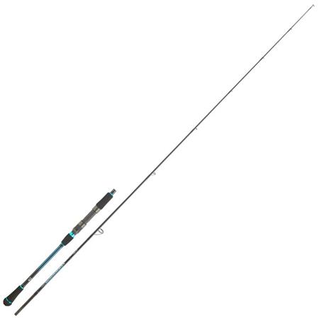 Canne Spinning Daiwa Harrier Jigging