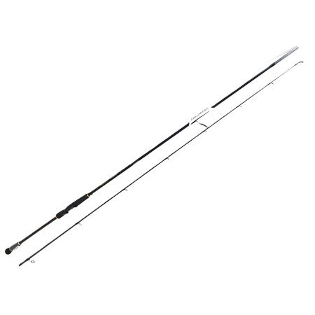 Canne Spinning Daiwa Infeet Seabass - Infsb902mhfscf - Distance Cast