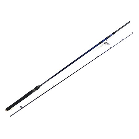 Canne Spinning Dpsg Teignouse - 75Mh