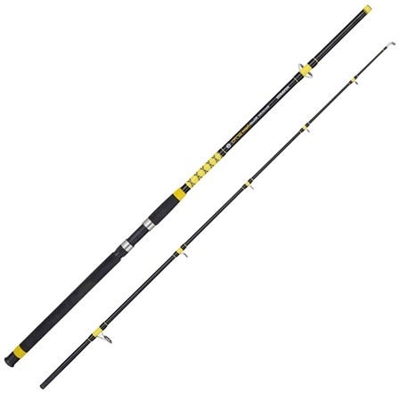 Canne Spinning Mivardi Fanatic Catfish