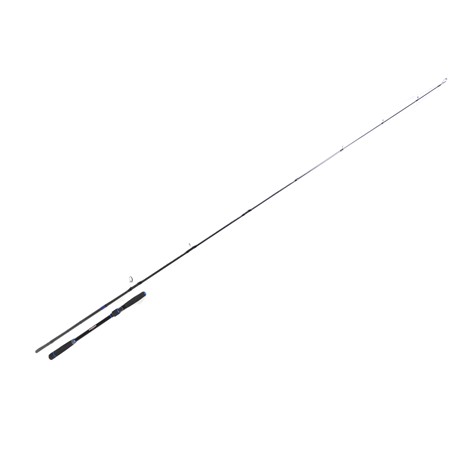 Canne Spinning Ryokan Sw Sakura - 1+1