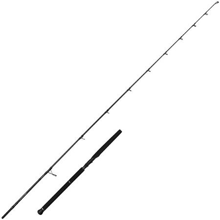 Canne Spinning Savage Gear Defiance Sg2 Offshore Pelagic