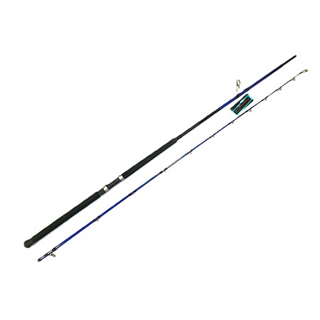 Canne Spinning Savage Gear Sgs6 Shore Jigging - 305Cm / 60-150G