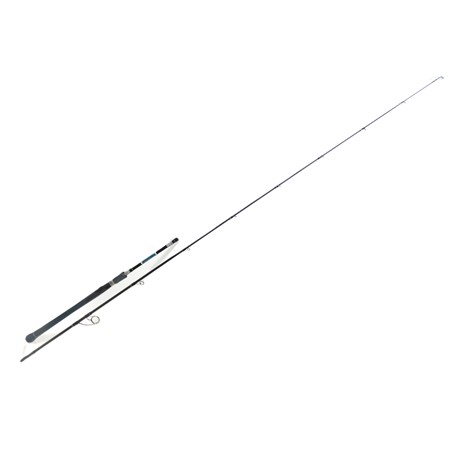 Canne Spinning Smith Dragonbait Seabass Lx - 240Cm / 20-60G