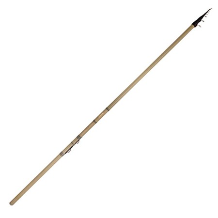 Canne Spinning Télescopique Mitchell Epic Pro Tele-Adj Competition