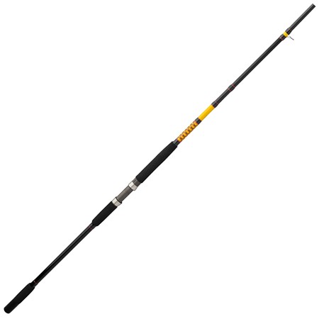 Canne Spinning Ugly Stik Bigwater Conventional Rod