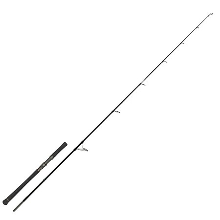 Canne Spinning Zeck Evo Cat Spin