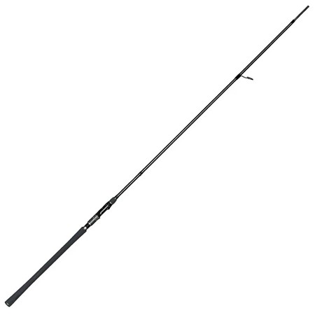Canne Spinning Zeck Silver Horizon