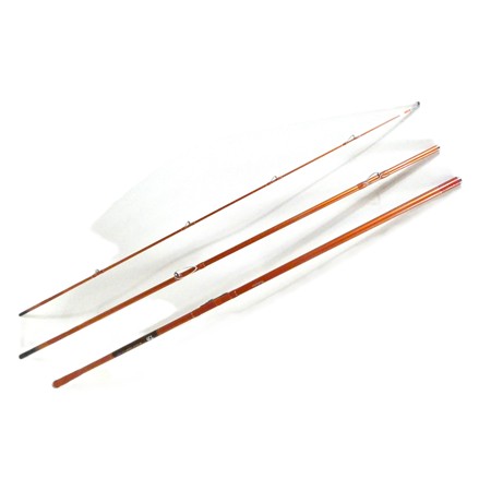Canne Surf Daiwa Cast'izm - Cms33425be - Scion Power