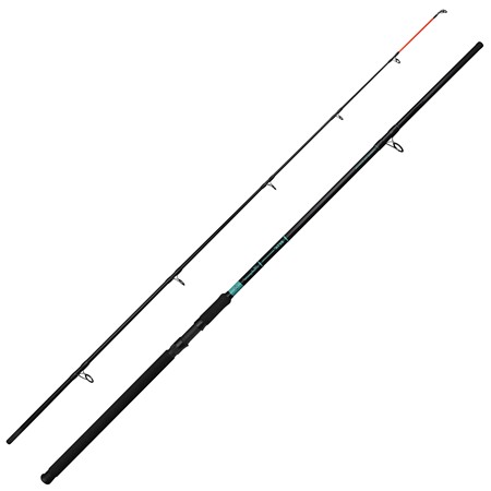 Canne Surf Shakespeare Beta Beachcaster