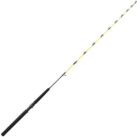 Canne Traîne Daiwa 27 Sea Hunter X Trolling