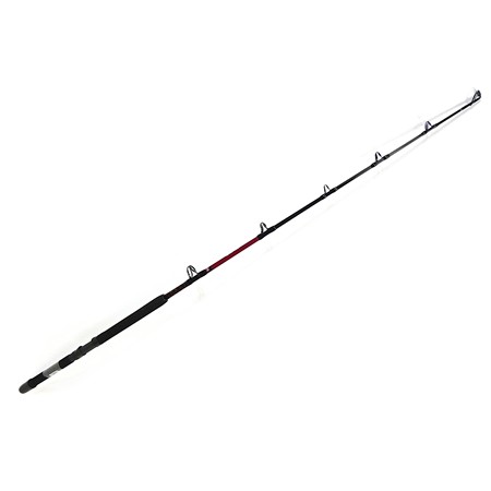 Canne Traine Penn Warfare Trolling - 50-100Lbs