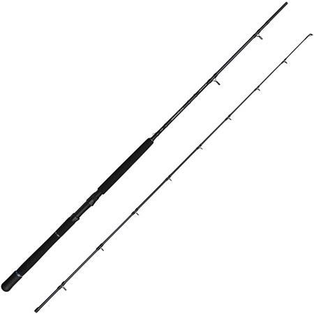 Canne Traîne Savage Gear Salmonoid Sg2 Trolling