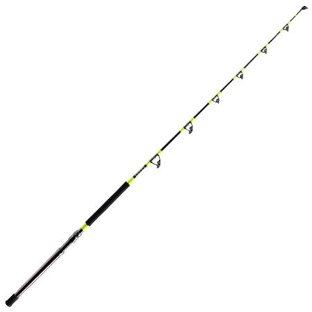 Canne Traîne Shimano Tyrnos A Trolling