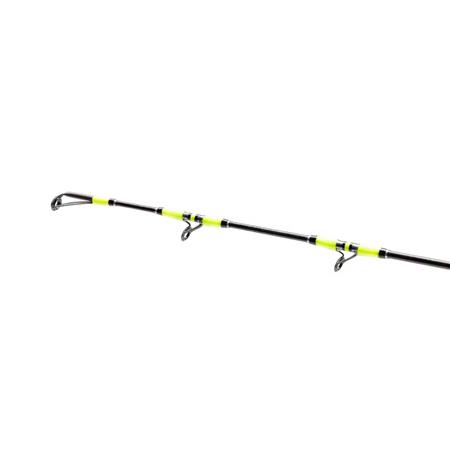 CANNE TRAÎNE SHIMANO TYRNOS C TROLLING LITE