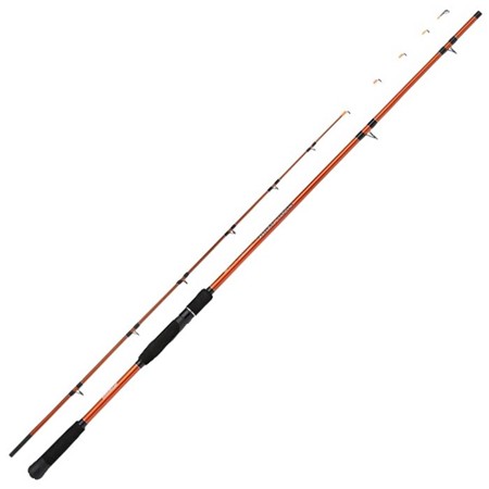 Canne Verticale Shimano Beastmaster Tataki