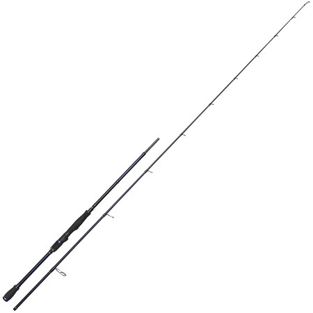 Canne Westin W2 Precision Cast Limitless Asm