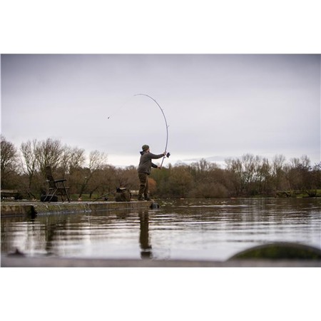 CARP ROD AVID CARP REACT RODS