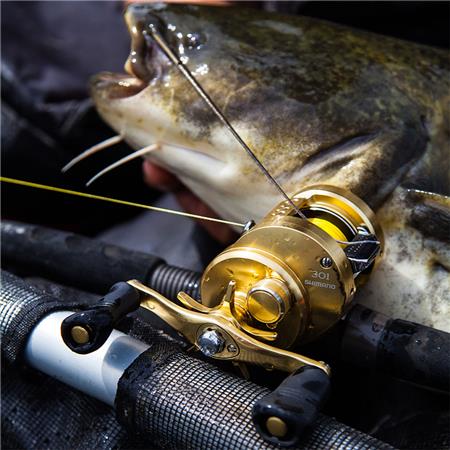 CARRETO DE PESCA CASTING SHIMANO CALCUTTA CONQUEST