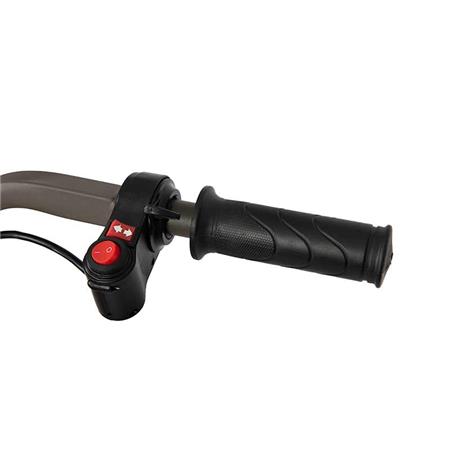 CARRINHO DE TRANSPORTE DE CARGA FOX TRANSPORTER 24V POWER PLUS BARROW