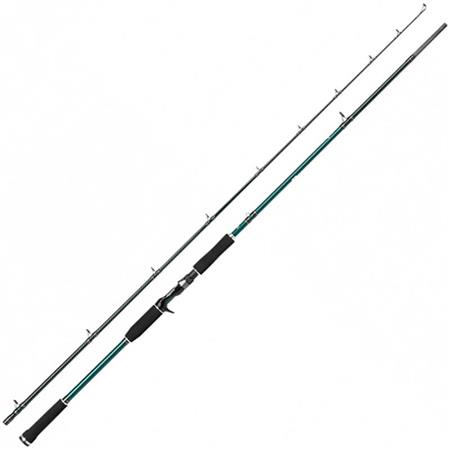 Casting Hengel Abu Garcia Beast X Casting Rod