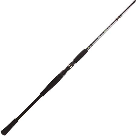 Casting Rod Bft Raptor G2 Swimbait