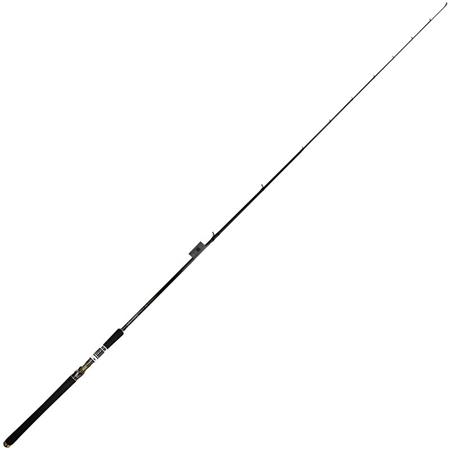Casting Rod Biwaa The Divinator 76Xh