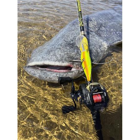 CASTING ROD BLACK CAT PERFECT PASSION ALLSTAR CAST