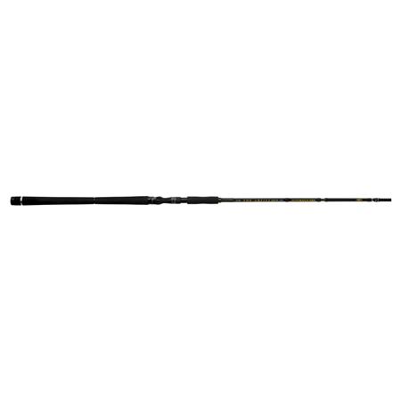 CASTING ROD ILLEX THE ARTIST X5 B 250 XH NOTORIOUS PIKE