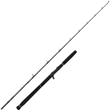 Casting Rod Savage Gear Defiance Sg2 Jigging Cast