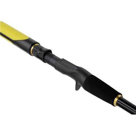 CASTING-RUTE BLACK CAT PERFECT PASSION ALLSTAR CAST