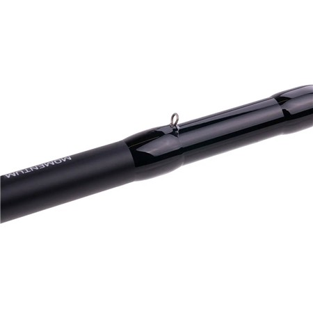 CASTING-RUTE ZECK MOMENTUM CAST