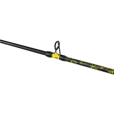 CASTINGHENGEL BLACK CAT PERFECT PASSION ALLSTAR CAST