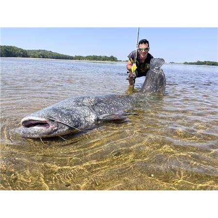 CASTINGHENGEL BLACK CAT PERFECT PASSION ALLSTAR CAST