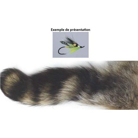 Cauda De Guaxinim Tof Morceau