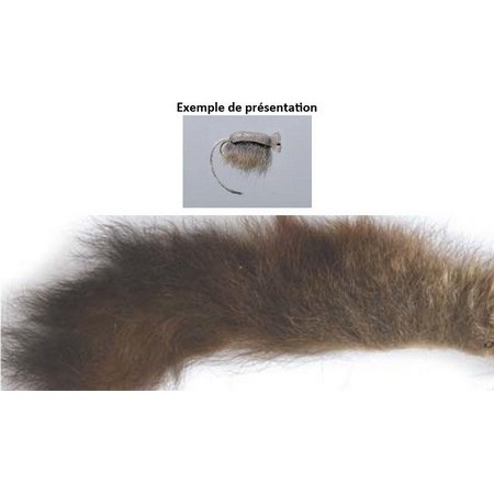 CAUDA DE OPOSSUM AUSTRALIANO TOF MORCEAU