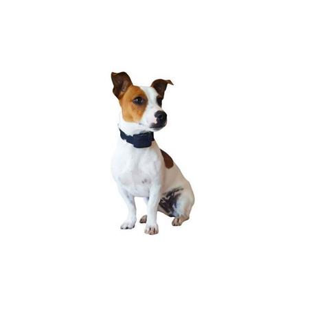 CERCA ANTI-FUGA NUMAXES CANIFUGUE SMALL