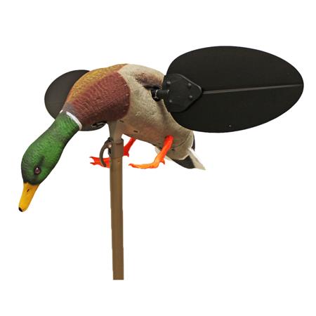 Chaamador Mojo Canard Colvert Un3481