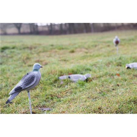 Chamador Eurohunt Pigeon Leurre À Coquille Pleine
