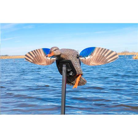 Chamador Mojo Elite Series Mini Poule Colvert
