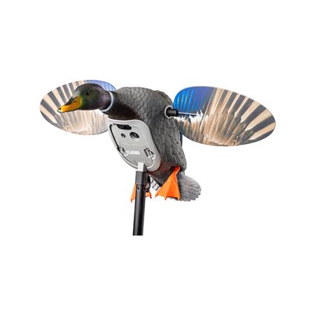 Chamador Mojo King Mallardavec Batterie Lit-Ion