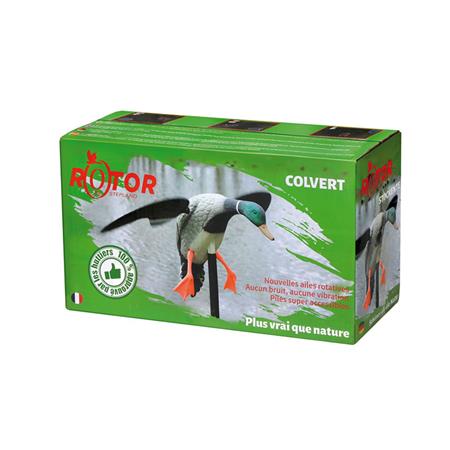 CHAMADOR STEPLAND CANARD COLVERT À AILES TOURNANTES ROTOR