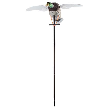 CIMBEL MOTORIZADO ELÉCTRICO LUCKY DUCK 