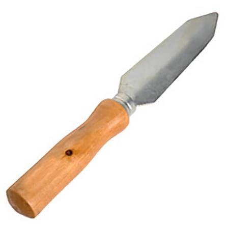 Clam Knife Tortue