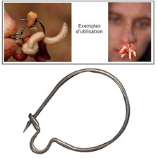 LARGE KORDA MAGGOT KLIP MAGGOT CLIP CARP FISHING 
