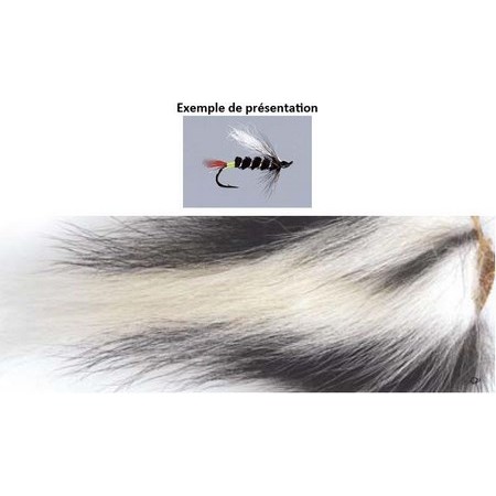 Coda Di Shunk Tof Pezzo