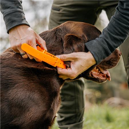 COLAR CÃO EUROHUNT HP&G